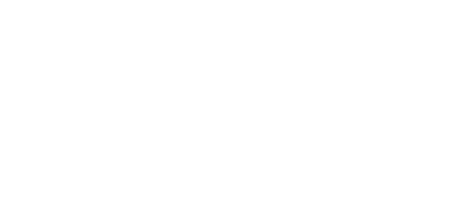 flutra webs logo white